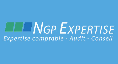 expert comptable paris 15 ngp